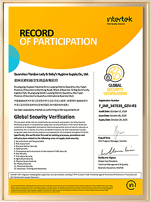  جائزة جي إس في 